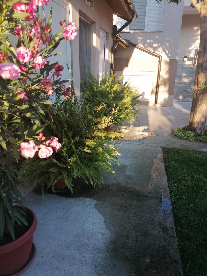 Villa Ros Guest House Svilengrad ภายนอก รูปภาพ