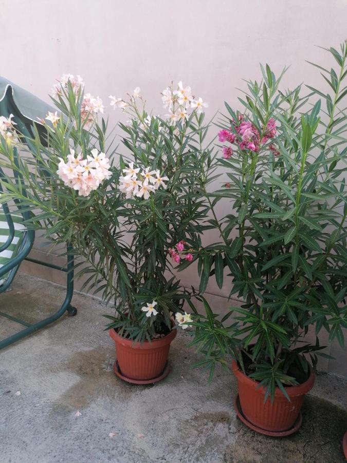 Villa Ros Guest House Svilengrad ภายนอก รูปภาพ