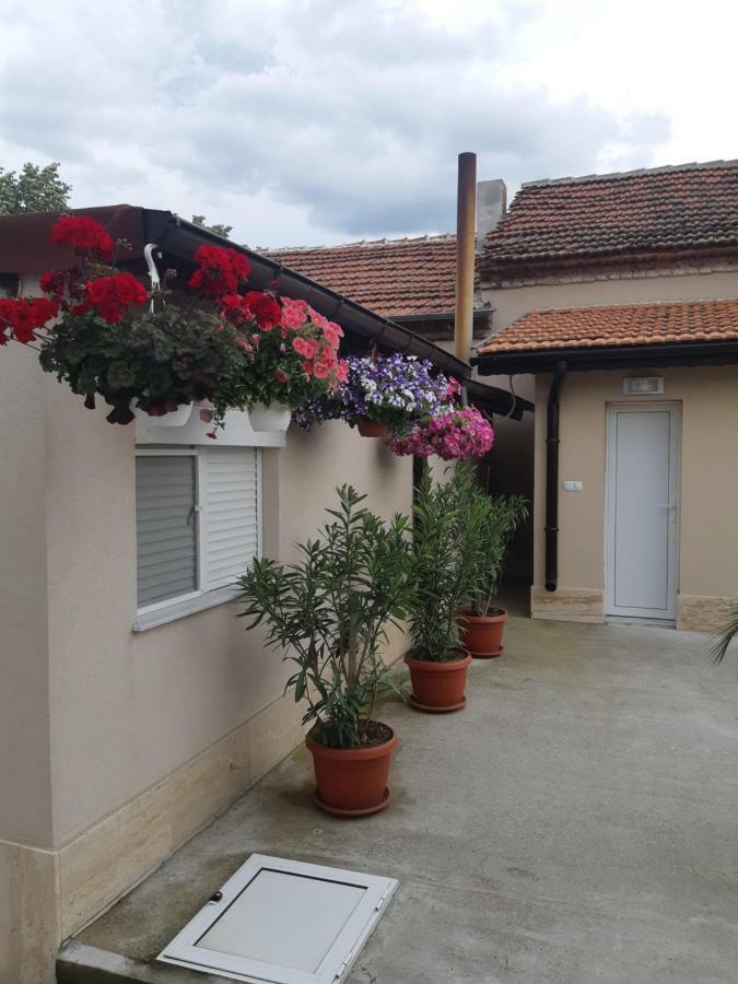 Villa Ros Guest House Svilengrad ภายนอก รูปภาพ