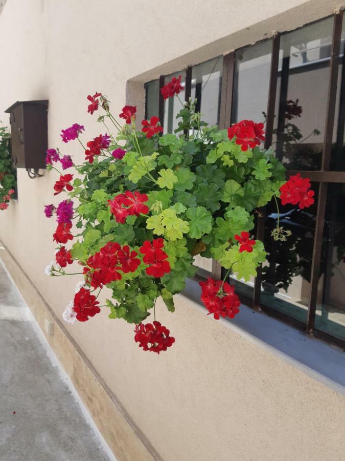 Villa Ros Guest House Svilengrad ภายนอก รูปภาพ