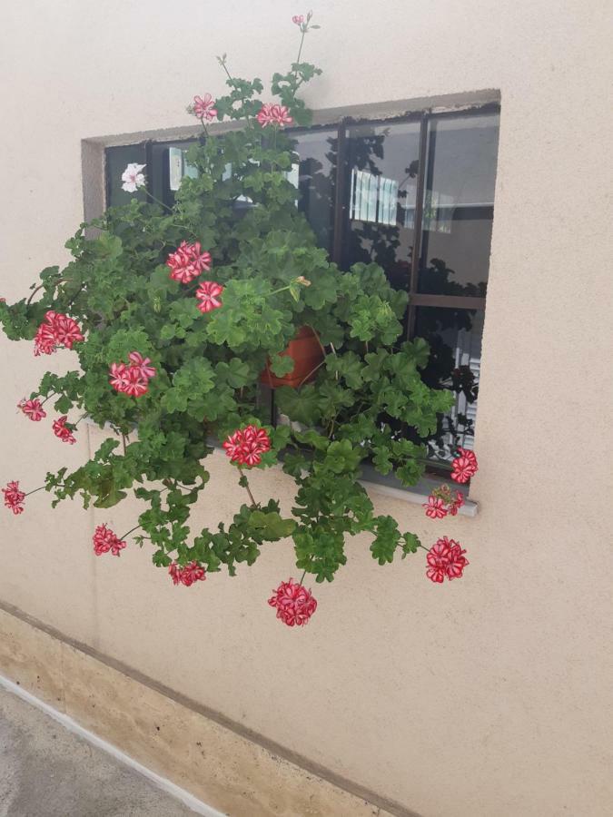 Villa Ros Guest House Svilengrad ภายนอก รูปภาพ