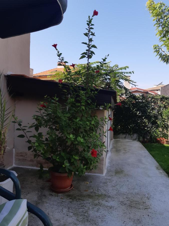 Villa Ros Guest House Svilengrad ภายนอก รูปภาพ